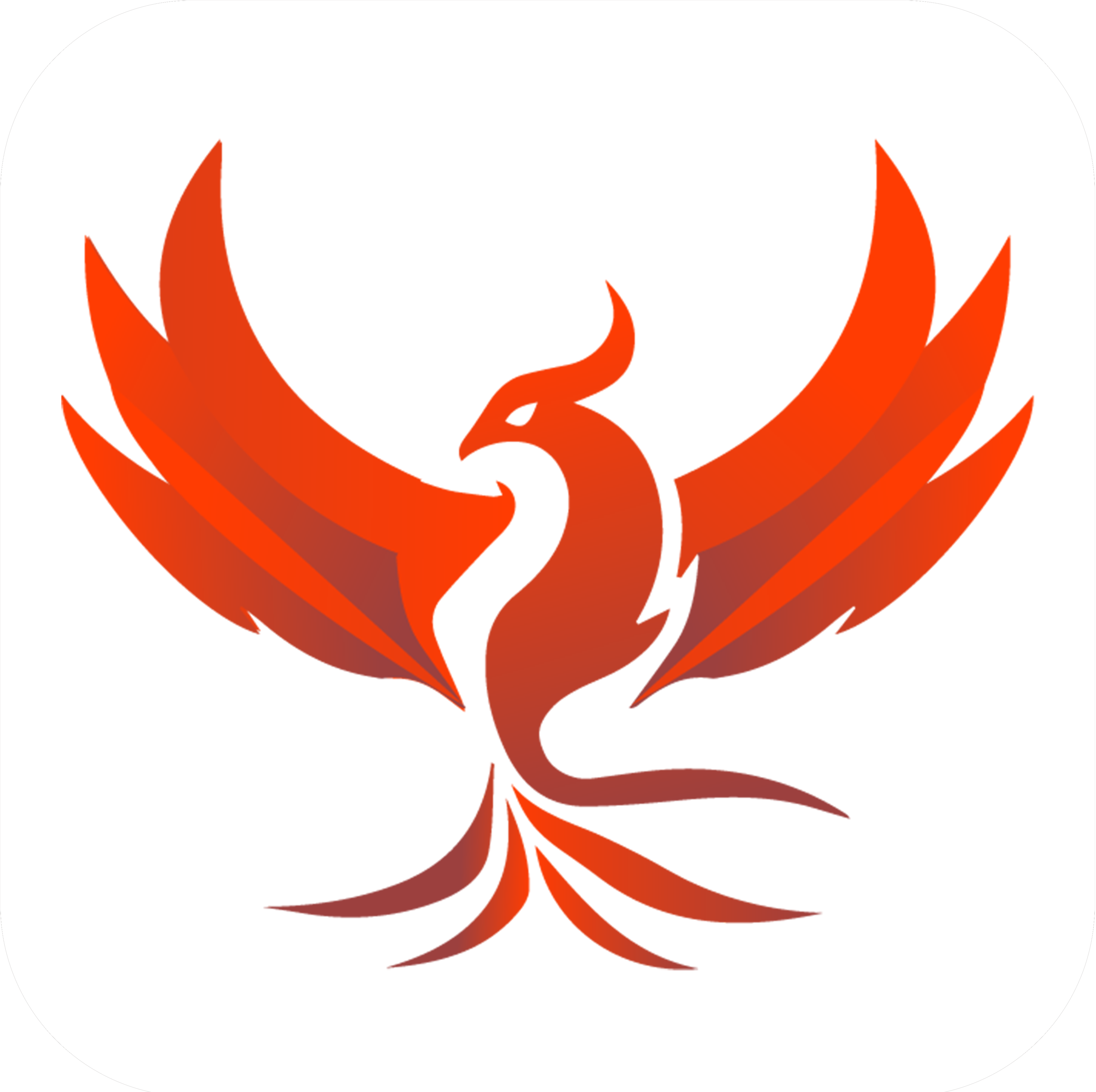 Phoenix Trader Funding
